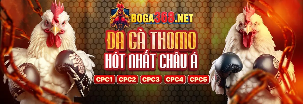 Đội ngũ ao 88 chuyên nghiệp